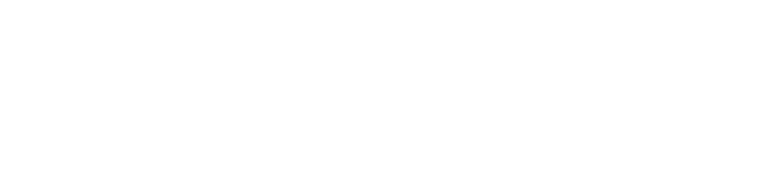 Singu-Link